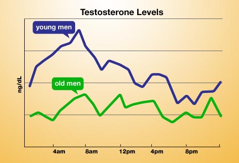 Testosterone Changes Chart